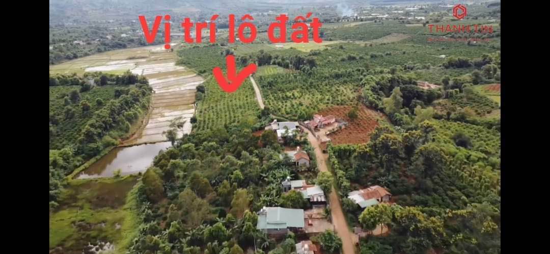 Đất nền Ia Nhin, Chư Păh, Gia Lai 2400m² - Đường to ô tô!