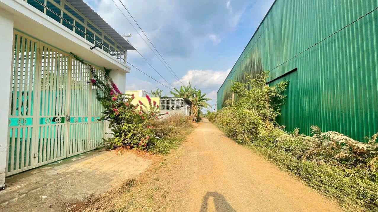 Bán Gấp Đất Nền Nguyễn Kiệm, Pleiku 147m² - Giá Chỉ 330 Triệu