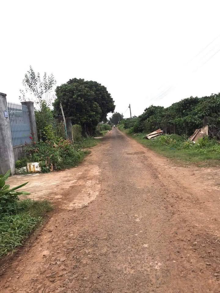 Đất nền Pleiku 420m² giá từ 7xx triệu - Đường ô tô rộng rãi