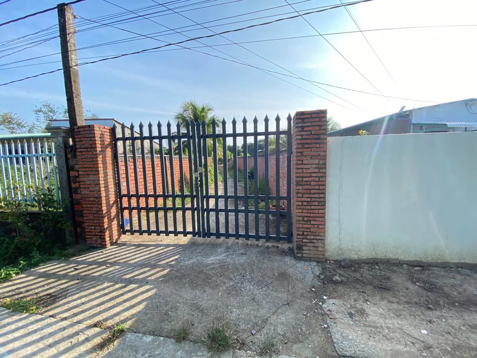 Bán Gấp Đất Vườn Vĩnh Long 2950m² Tặng Nhà Cấp 4 - Sổ Hồng Sẵn Sàng