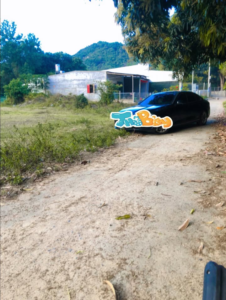 Đất nền Cam Ranh 256m² - Sổ đỏ thổ cư, 2 ô tô tránh nhau