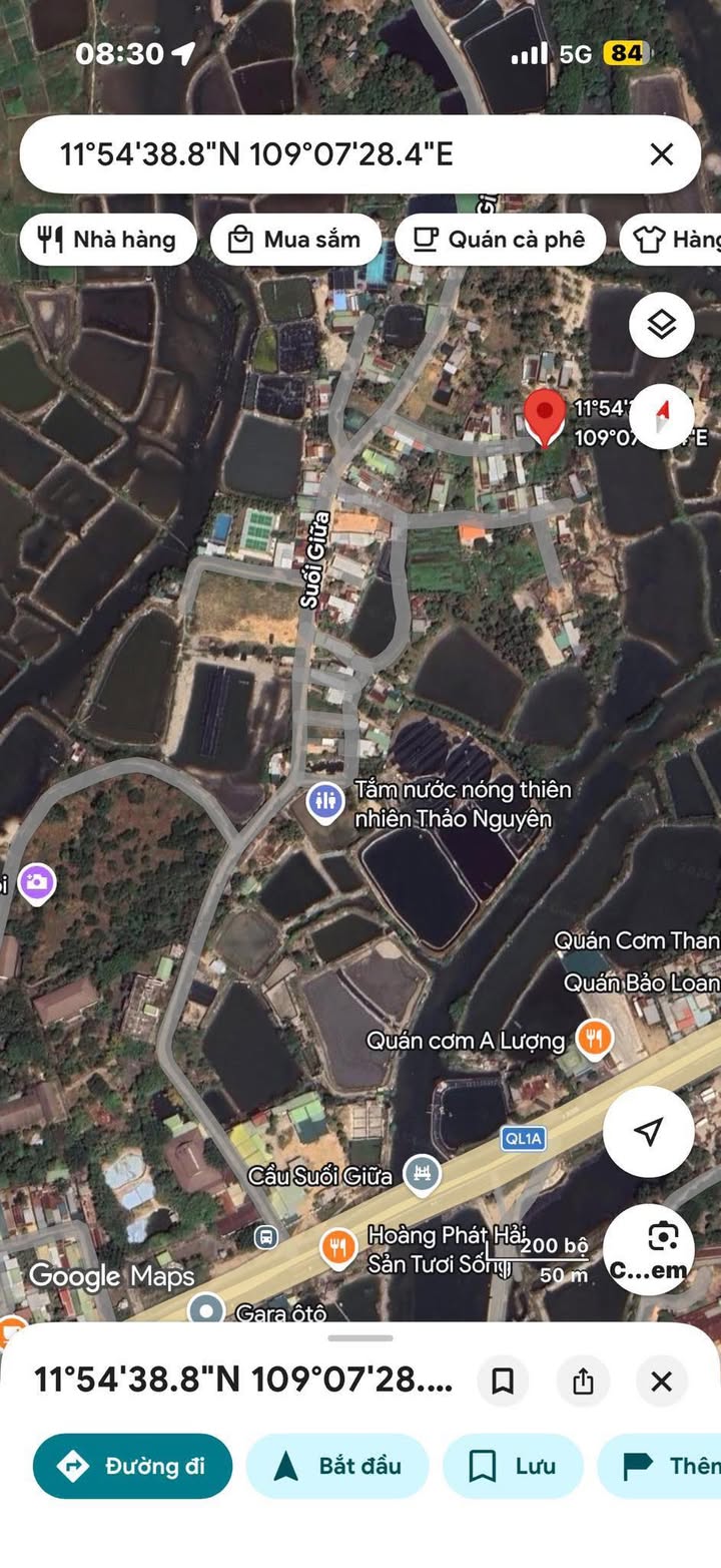 Bán Đất 174m² Hai Mặt Tiền Trà Long 2, Cam Ranh - Sổ Cây Lâu Năm, Giá 800 Triệu