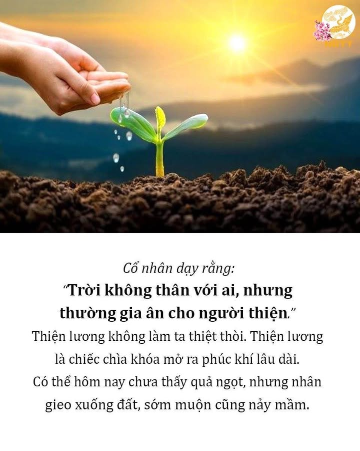 Bán Đất Tặng Nhà Cấp 4 Hoàng Văn Thái, Đà Nẵng - 103m² Kiệt Oto