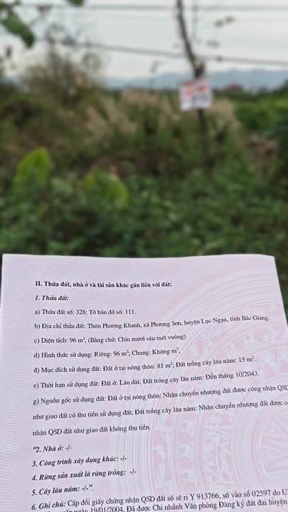 Đất nền 96m² QL31 Lục Ngạn - Tiềm năng tăng giá vượt trội!