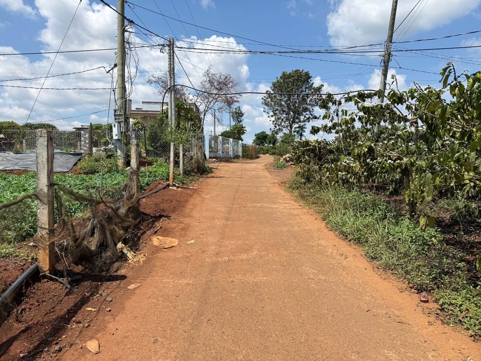 Đất nền Tân Hội, Đức Trọng 240m² - Sổ đỏ thổ cư, 780 triệu