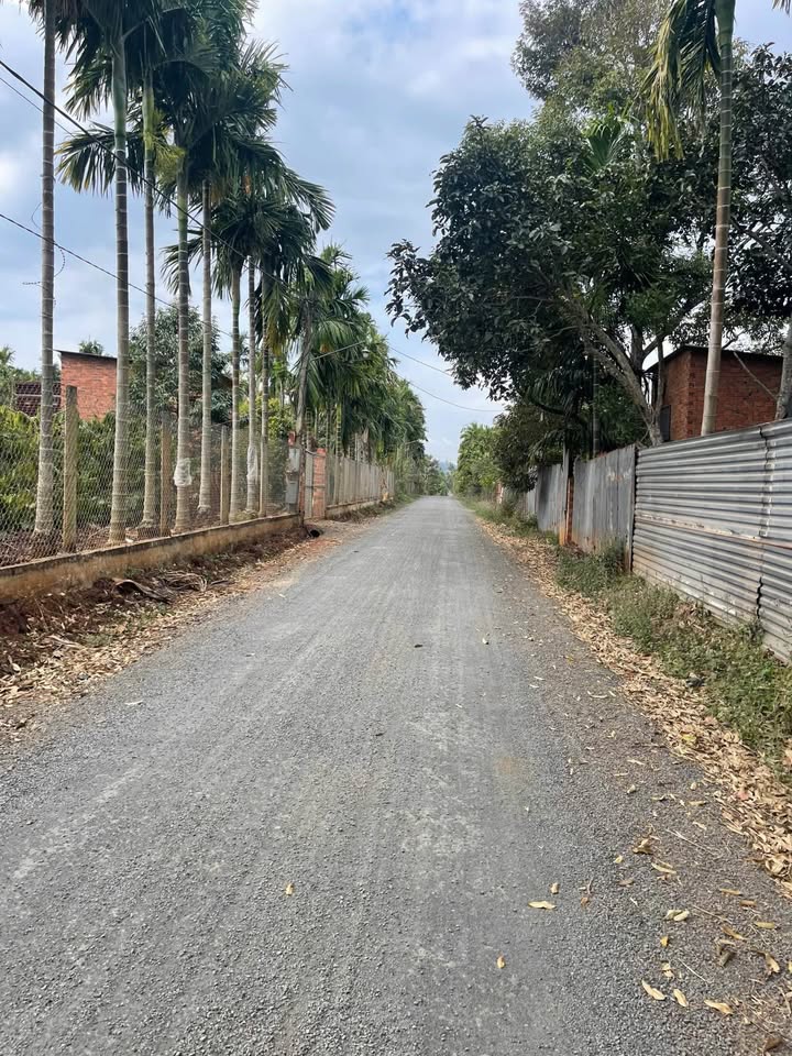 Đất nền Trung Hòa Cư kuin - 125m² Thổ cư - 408 triệu/lô