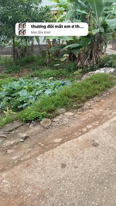 Đất nền Hoàng Thanh, Hiệp Hòa 172m² - Sổ đỏ sẵn, ô tô vào nhà