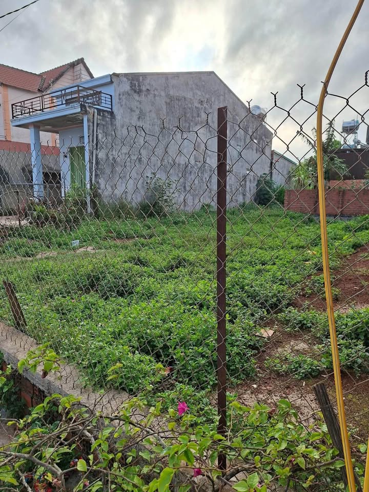 Đất nền Tỉnh Lộ 683 Krông Nô - 650 triệu/m - Sổ đỏ chính chủ!