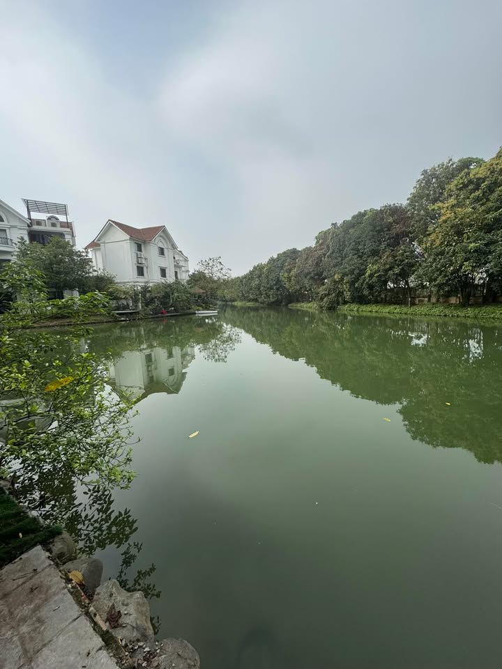 Biệt thự Đơn Lập Long Biên 550m² - Vị trí đẹp, thiết kế tự do!