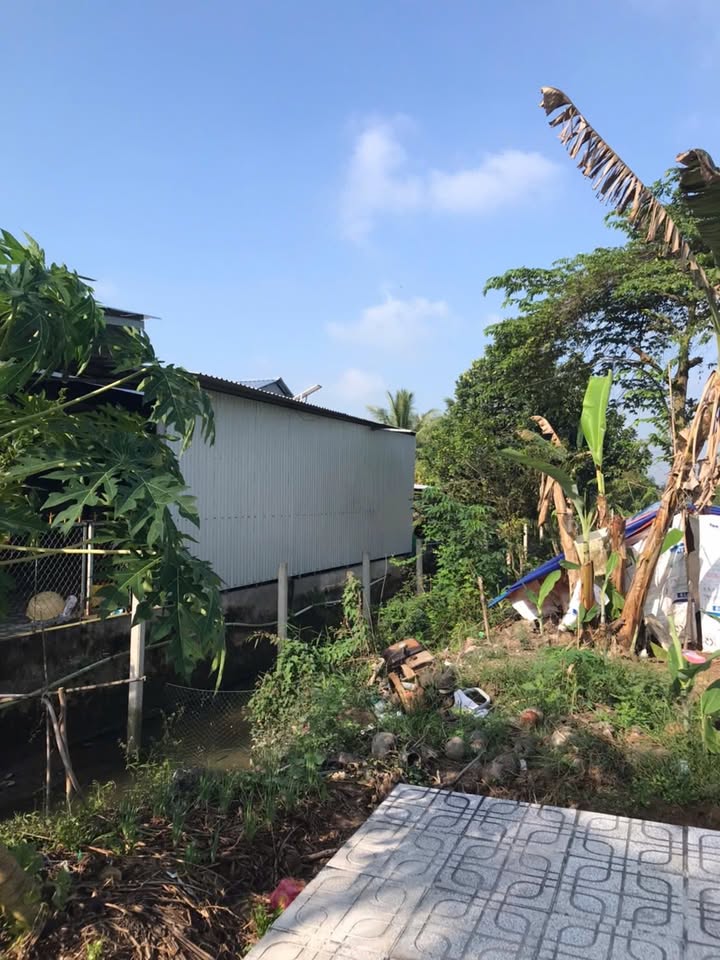 Bán Đất Vườn 8700m² Mặt Tiền Đường Nhựa Tân Hạnh, Vĩnh Long - Giá Tốt