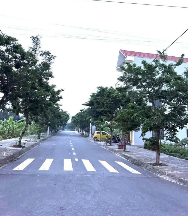 Đất Nền 100m² Hướng Đông Gần BigC Hải Hậu - Giá Tốt