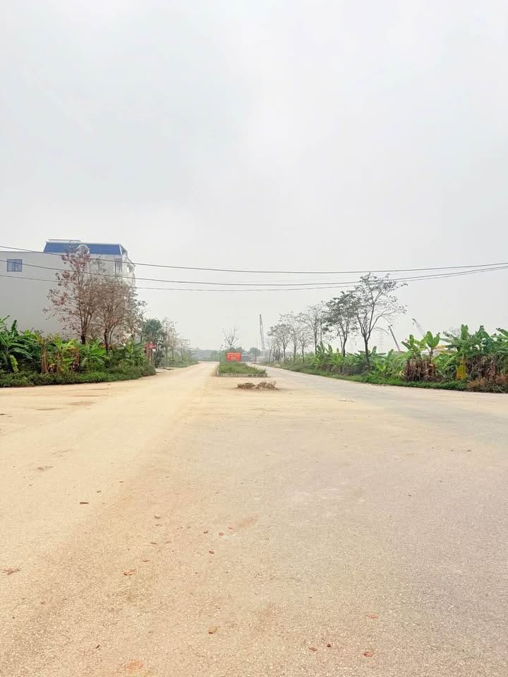 Đất Vàng Tôn Đức Thắng - Ninh Bình 240m² Sổ Đỏ Chính Chủ