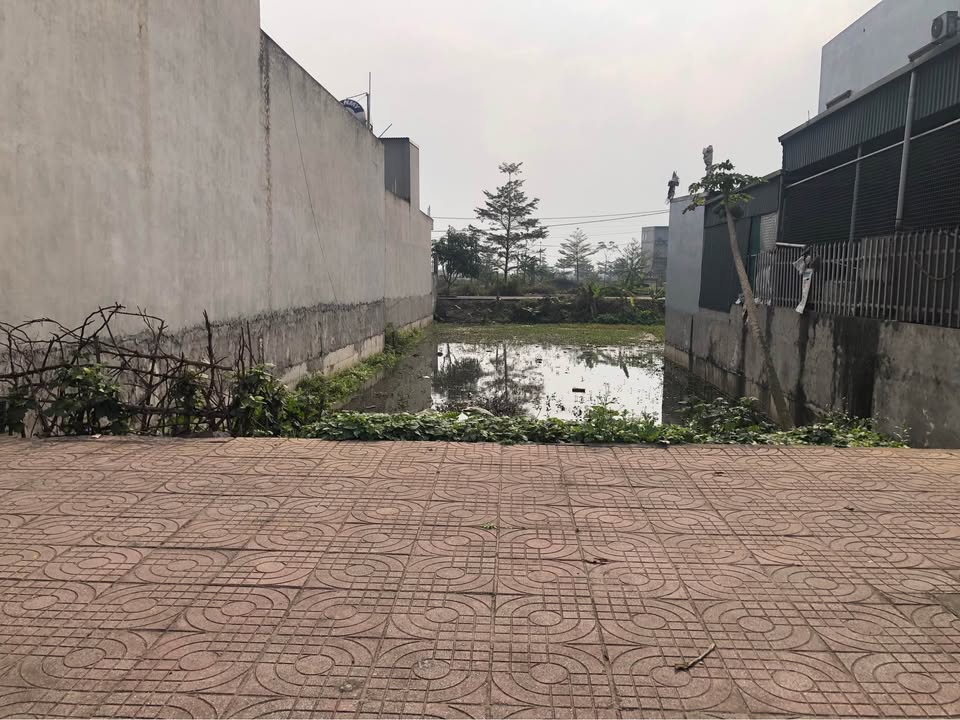 Đất nền nhà vườn 180m² Ninh Phúc, Hoa Lư - Sổ đỏ chính chủ!