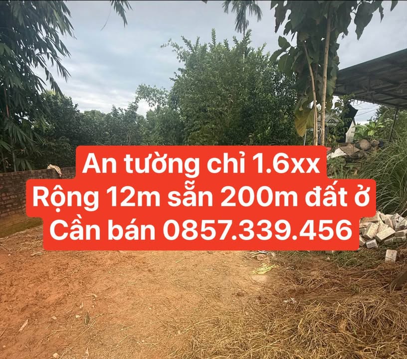 Bán gấp đất 420m² An Tường, Tuyên Quang - Ngõ rộng, 200m đất ở