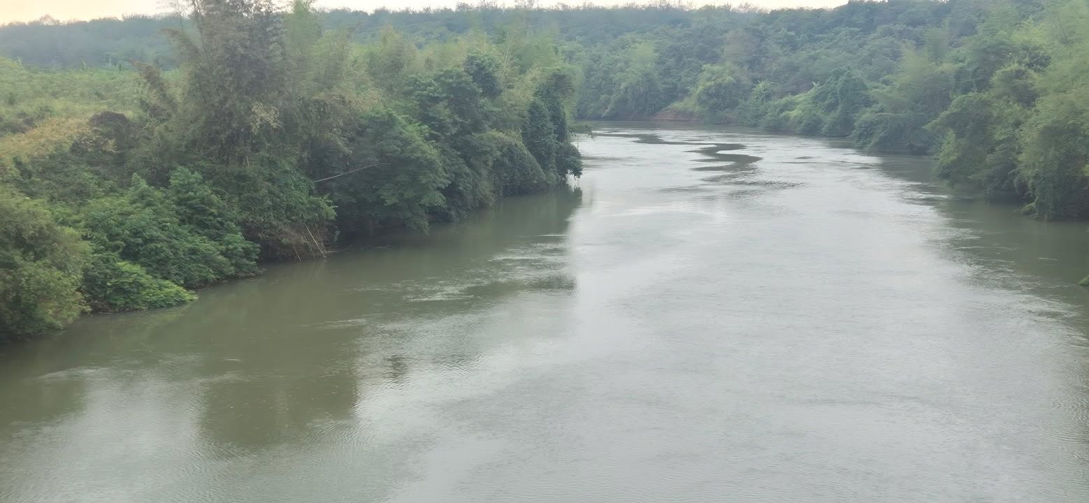 Đất Vườn 4ha View Sông Đồng Xoài - Giá Đầu Tư 2.5 Tỷ/ha