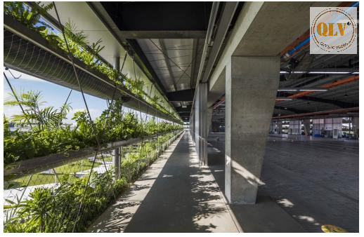 Kho xưởng KCN Nhơn Trạch 18.144m² - Hoạt động ngay