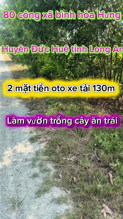 Đất Nền Bình Hòa Bắc, Long An 80000m² - Đường To Ô Tô, 2 Mặt Tiền!