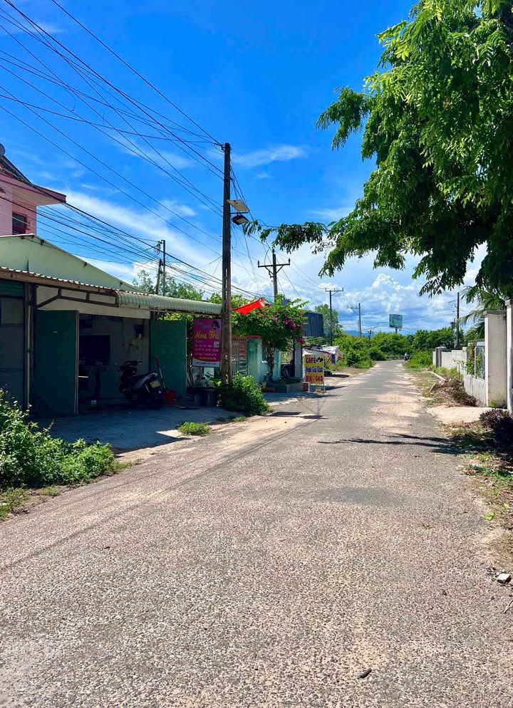 Đất Hàm Mỹ, Hàm Thuận Nam 297m² - Mặt Tiền Nhựa Gần Suối Cát, Giá 1.6 Tỷ