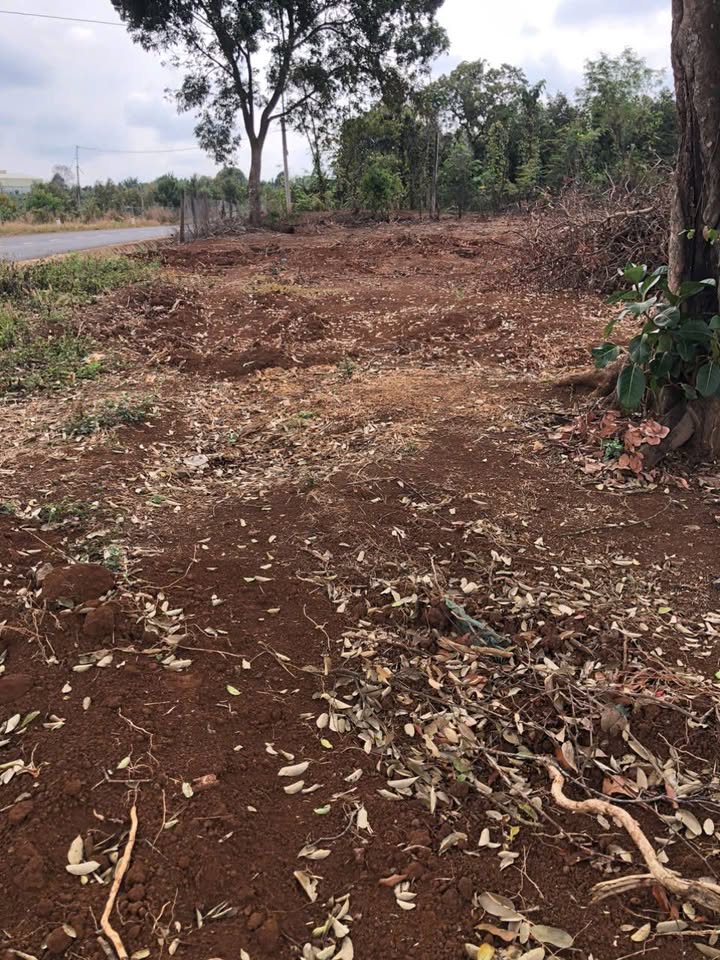 Đất cho thuê Tân Phú Trung Củ Chi 3ha - Hạ tầng đầy đủ