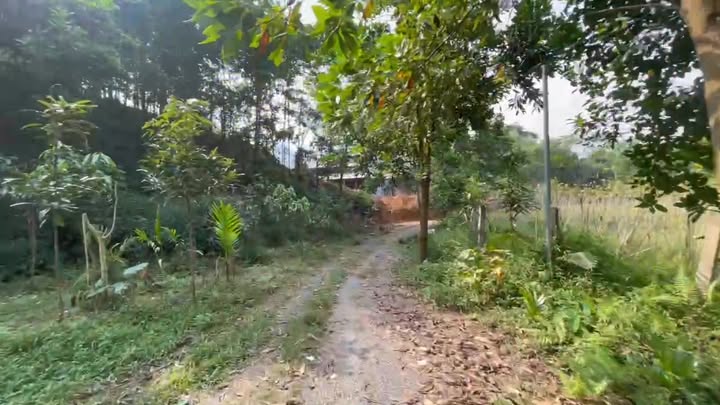 Trang Trại 15000m² Đồng Thịnh - Yên Lập: Sổ Đỏ, Nhà Vườn Đẹp, Bám Suối, Giá Tốt