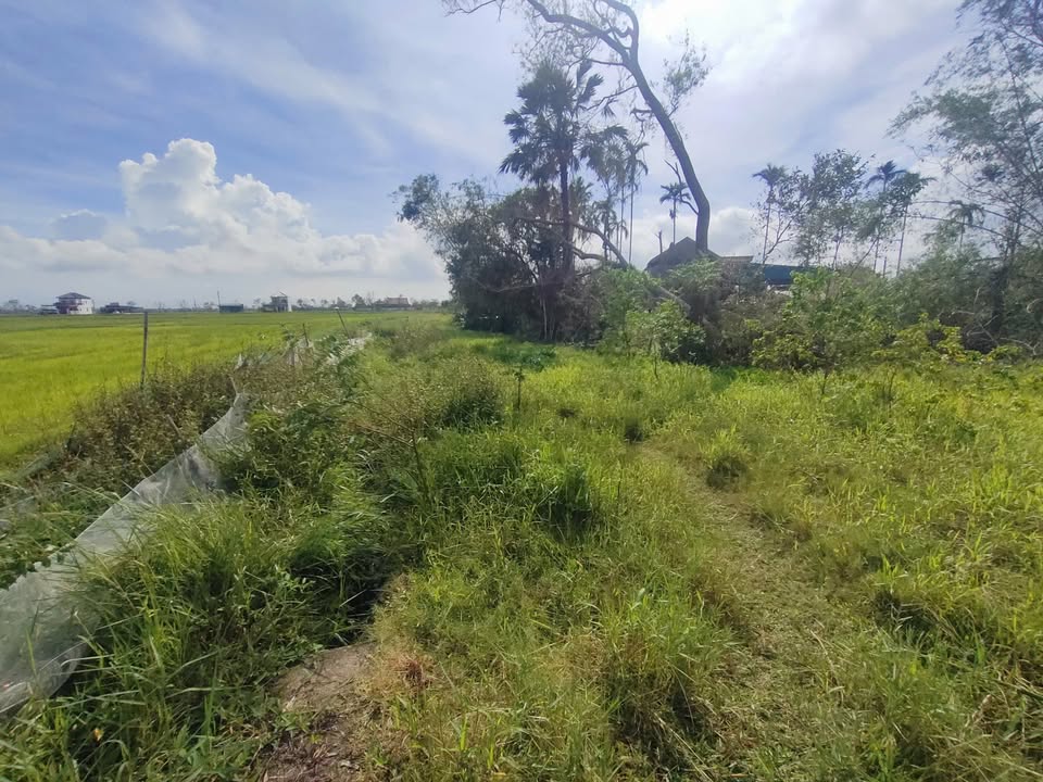 2 Lô Đất nền Thạch Lạc, Hà Tĩnh - Sổ đỏ, chỉ 790 triệu/lô!