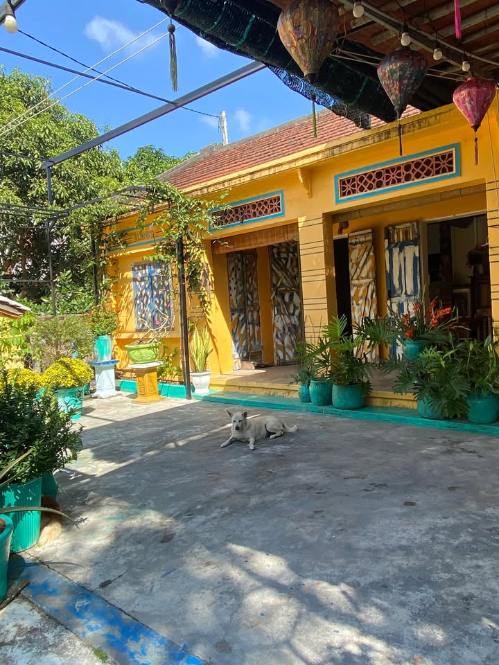 Nhà Vườn Phường Phú Đông, Tuy Hòa 4 Triệu/Tháng - Chính Chủ Cho Thuê!