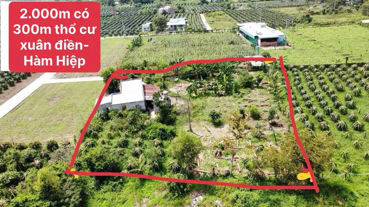 Bán Gấp Nhà Vườn 2000m² Xuân Điền, Bình Thuận - Sổ Sẵn, Giá 1.98 Tỷ