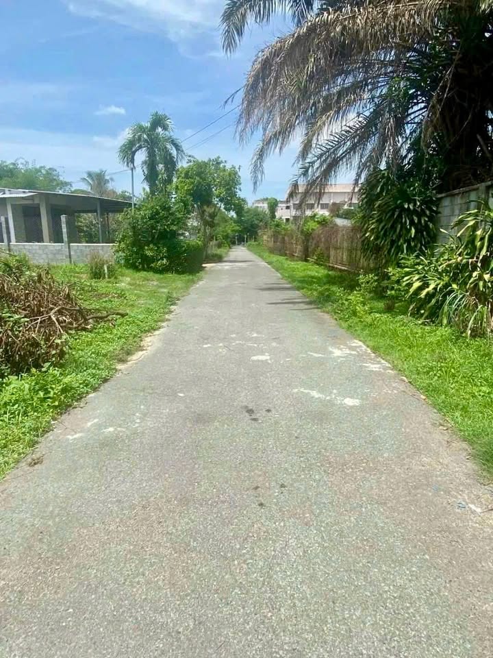 Đất nền Thái Mỹ Củ Chi 1250m² - Pháp lý chuẩn, xây dựng tự do