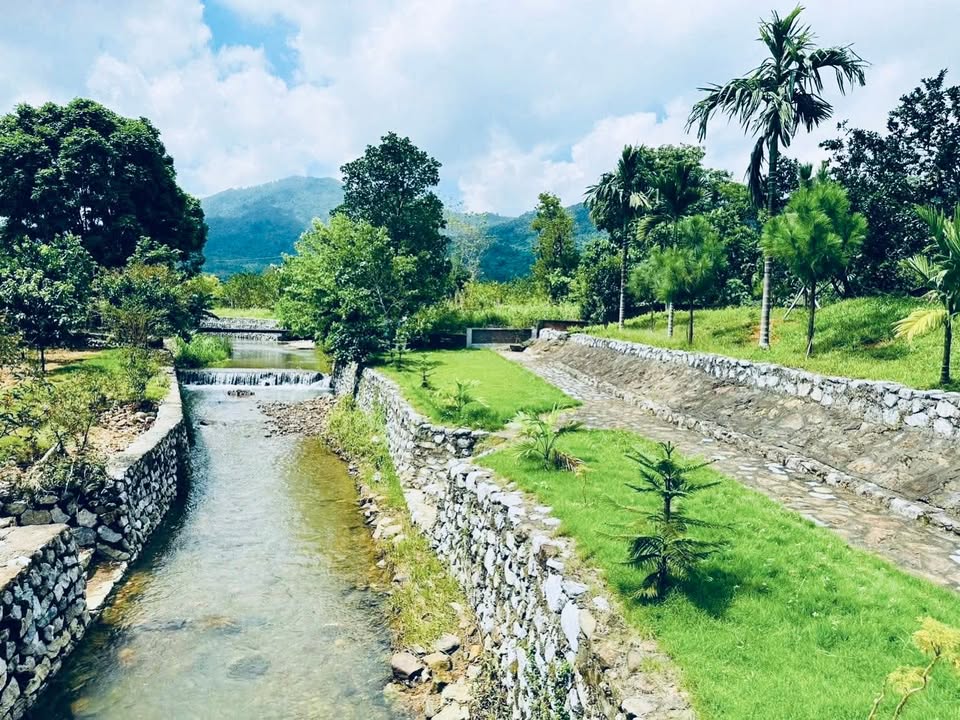 Bán Gấp Lô Nhà Vườn Ba Vì 2300m² - View Núi Tản Viên, Suối Trong Đất