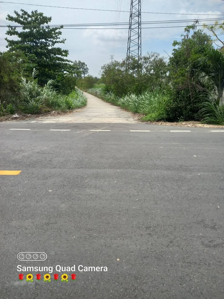 Đất nền Trà Cú, Trà Vinh 3460m² - Pháp lý rõ ràng!