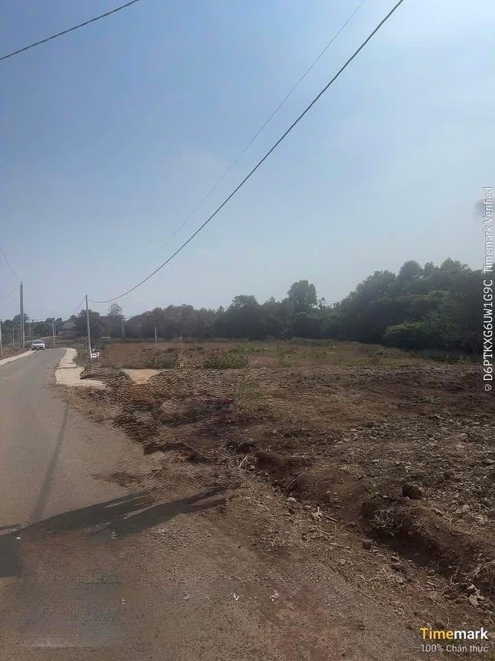 Đất Nền Thổ Cư Sổ Sẵn Châu Đức - 650 Triệu/Lô