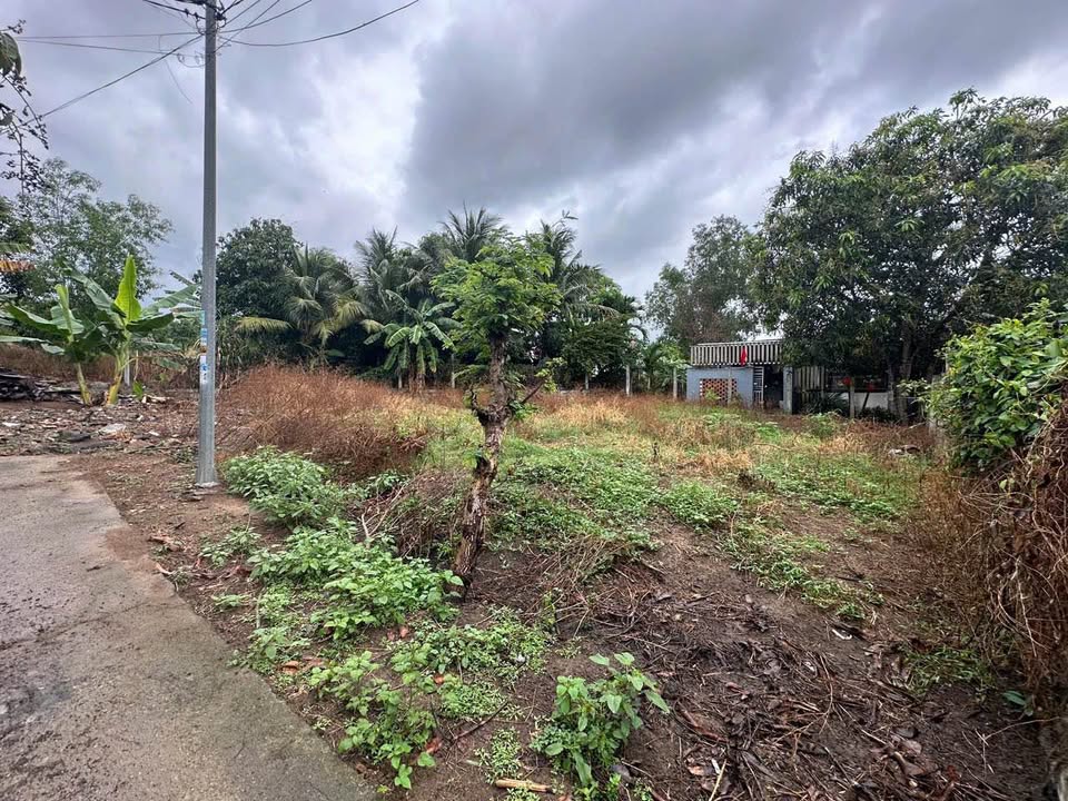 Đất Đắc Lộc Nha Trang 188.5m² Full Thổ Cư - Sổ Hồng Sẵn Sàng