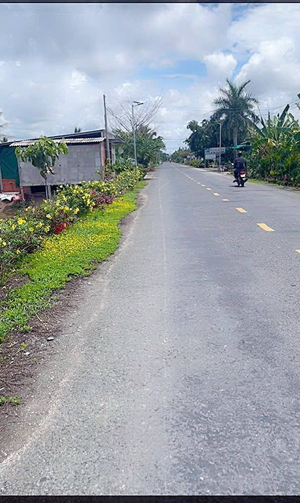 Bán Đất Vườn 4000m² Mặt Tiền Tỉnh Lộ 933B, Cần Thơ - Giá Tốt