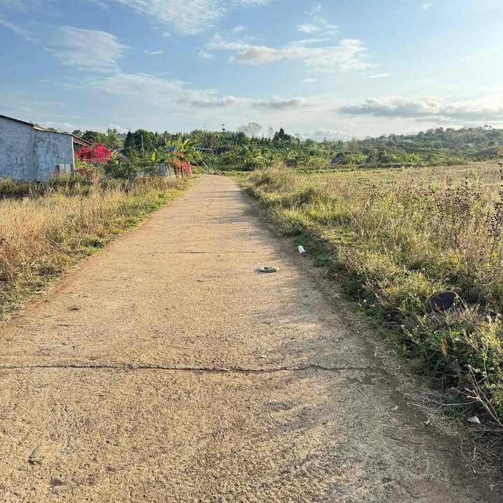 Đất nền Đắk Mil 500m² giá 350 triệu - Cơ hội đầu tư F0!