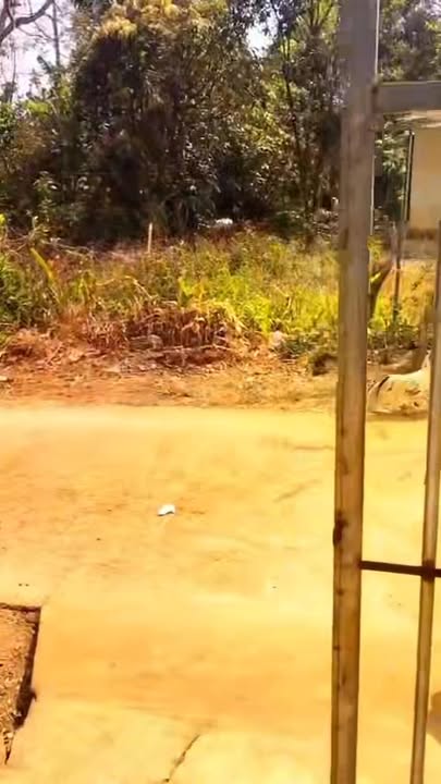 Nhà cấp 4 Xã Thuận An 175m² giá 1 tỷ - Giá tốt hiếm có!