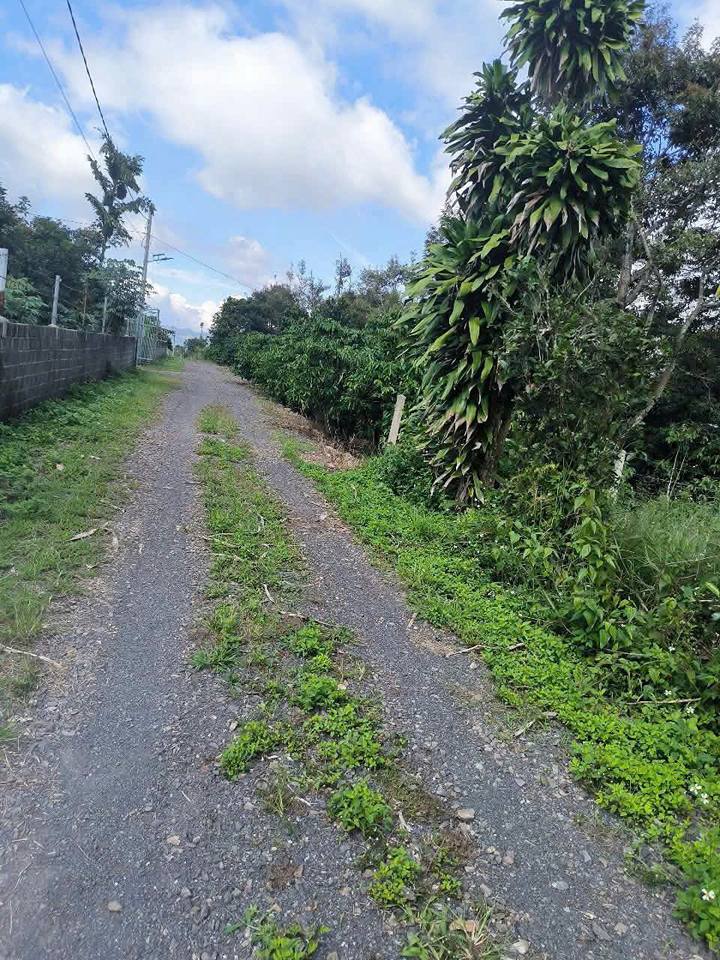 Đất nền Bảo Lộc, Lâm Đồng 8359m² - Tiềm năng tăng giá vượt trội!