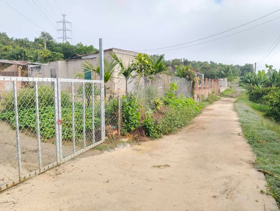 Đất Vườn Lộc Nam Bảo Lâm 4700m² - Sinh thái xanh, đầu tư sinh lời!