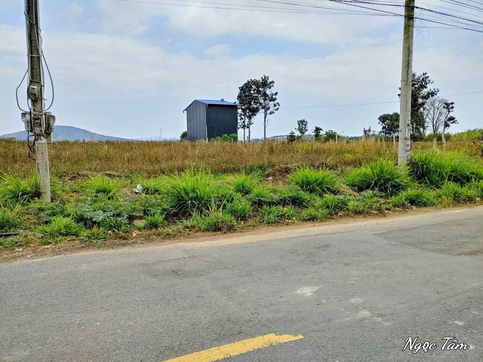 Đất Mặt Tiền DH3 Đức Trọng - 278m² View Hồ Ông Ba - 1.15 Tỷ