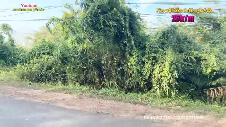 Đất nền Quảng Phú, Đắk Nông 1512m² - Pháp lý rõ ràng!