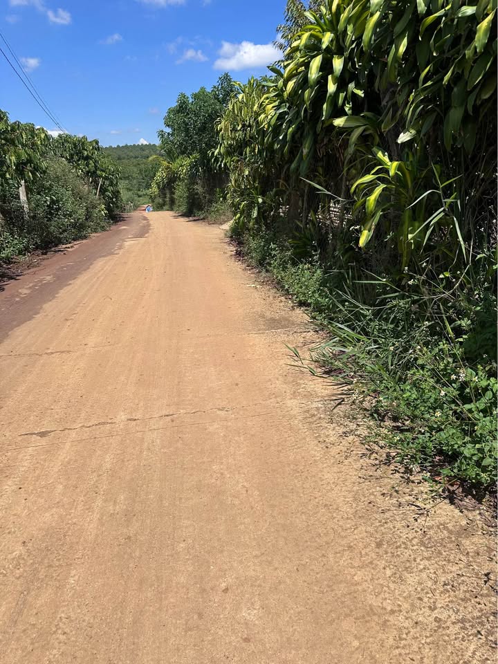 Bán Đất Nền Lộc Sơn, Bảo Lộc - 3300m² Giá 3 Tỷ, Chính Chủ