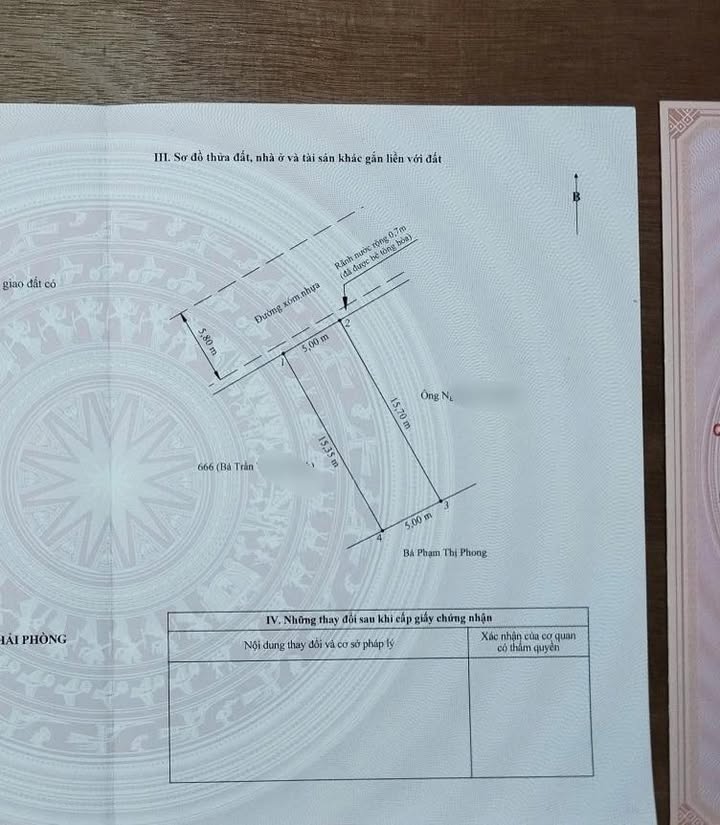 Đất nền An Thọ, An Lão 80m² - Tiềm năng tăng giá vượt trội!