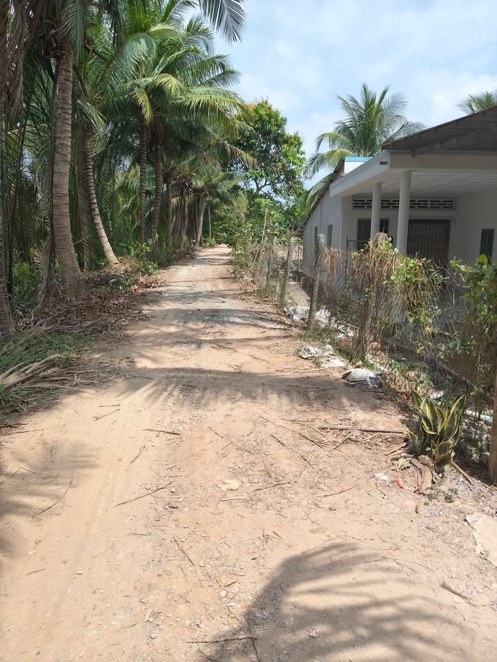 Đất Vĩnh Long 306m² Mặt Tiền Sông, Giá Chỉ 400 Triệu - Sẵn Sàng Xây Dựng