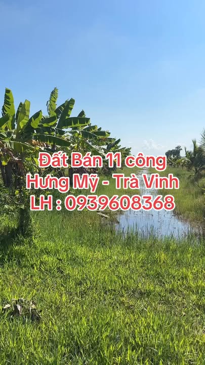 Bán Gấp 1.1ha Đất Vườn Trà Vinh - Sẵn Sàng Đầu Tư Sinh Lời