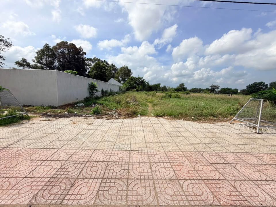 Đất Nền Trà Vinh 228m² - Mặt Tiền Đường Lớn, Tiềm Năng Kho Bãi