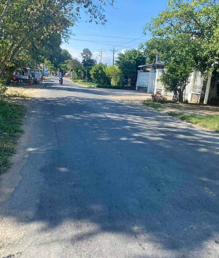 Bán Đất Phường 5, Trà Vinh 250m² - Thổ Cư Full, Giá 550 Triệu