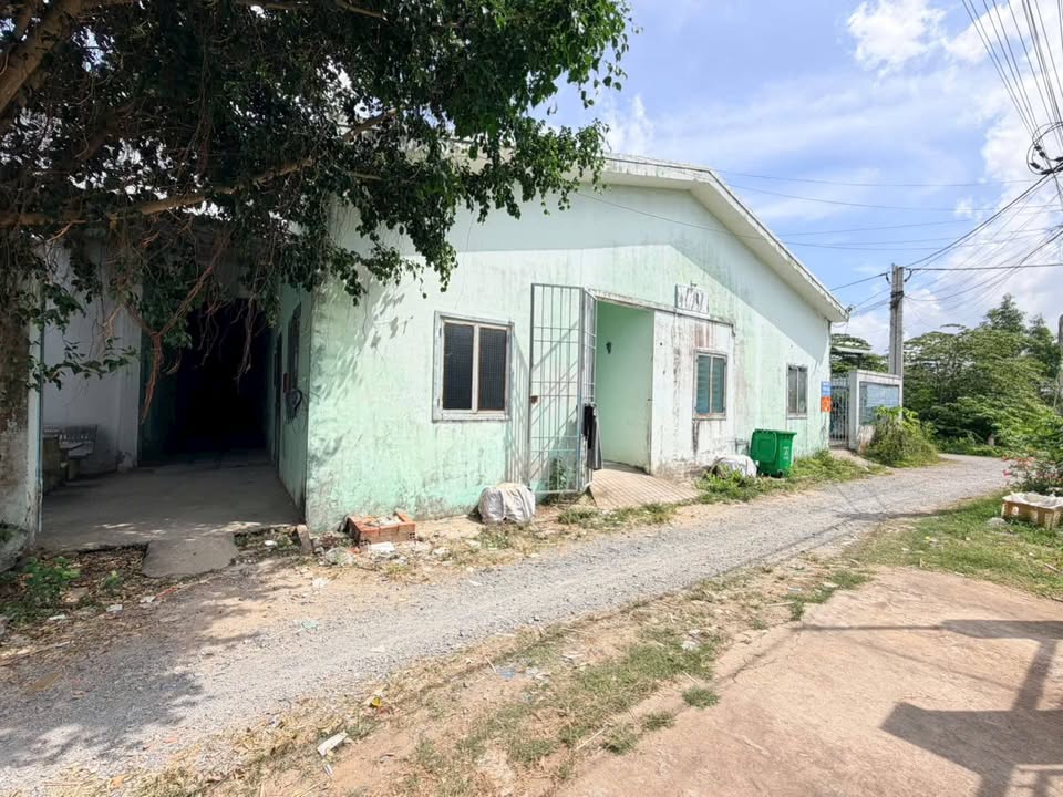 Bán Gấp 28 Phòng Trọ 575m² MT Nhựa, Gần Đại Học Trà Vinh - 4.2 Tỷ