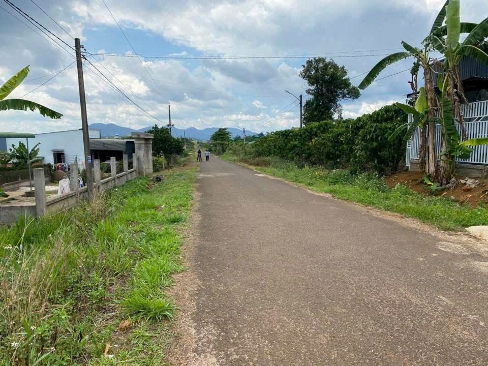 Đất Nền Mặt Tiền Lộc Tân, Bảo Lâm - 110m² Sổ Đỏ, Giá 900 Triệu