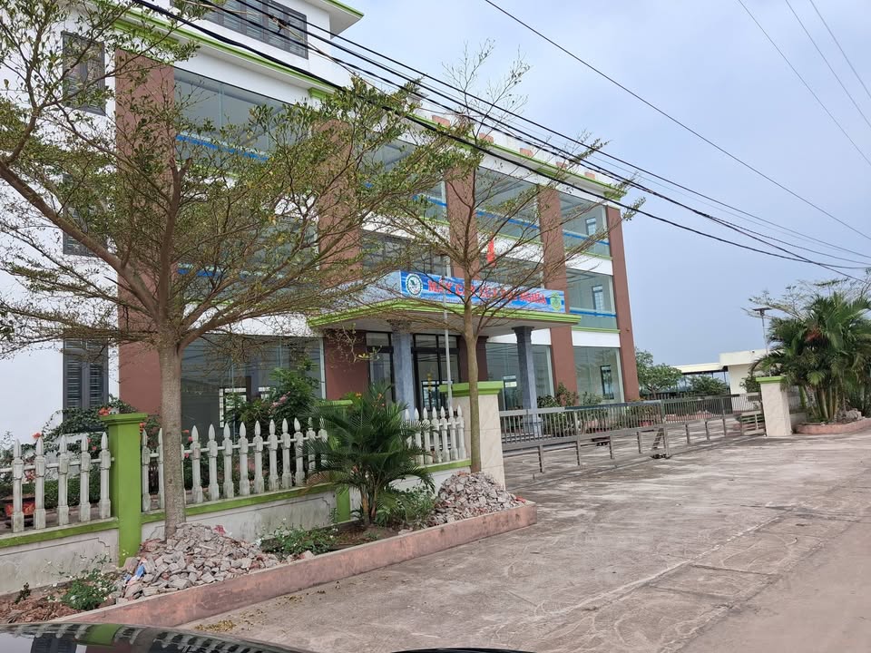 Bán Đất Mặt Đường Đông Hoàng, TP. Hải Dương - 100m², Mặt Tiền 5m, Kinh Doanh Đỉnh Cao