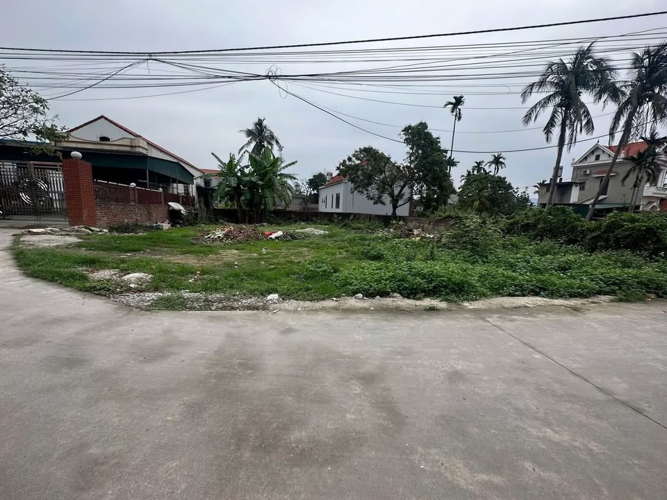 Đất nền Mạo Khê 325m² - Sổ đỏ, nở hậu, ô tô vào đất - Hơn 1 tỷ