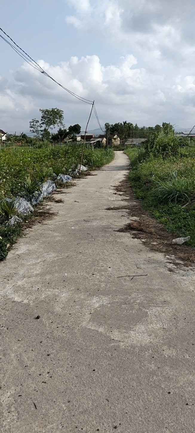 Đất nền Xã Phổ Phong Đức Phổ 336m² giá 195 triệu - Sổ đỏ chính chủ!